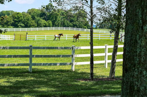 Foto 18 - Renovated Bunkhouse on 12-acre Horse Farm