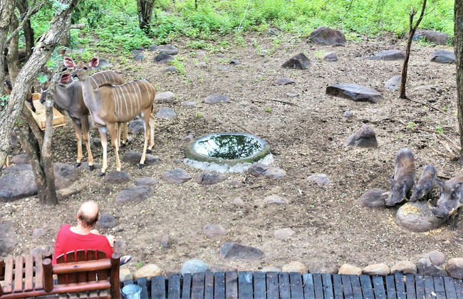 Kruger Kumba - Lahlekile Nathi - Foto 50