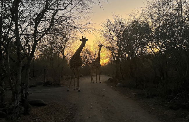 Kruger Kumba - Lahlekile Nathi - Foto 63