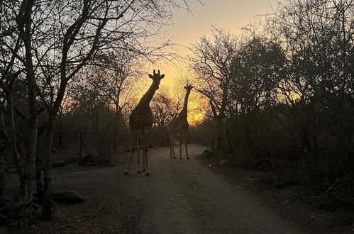 Photo 63 - Kruger Kumba - Lahlekile Nathi