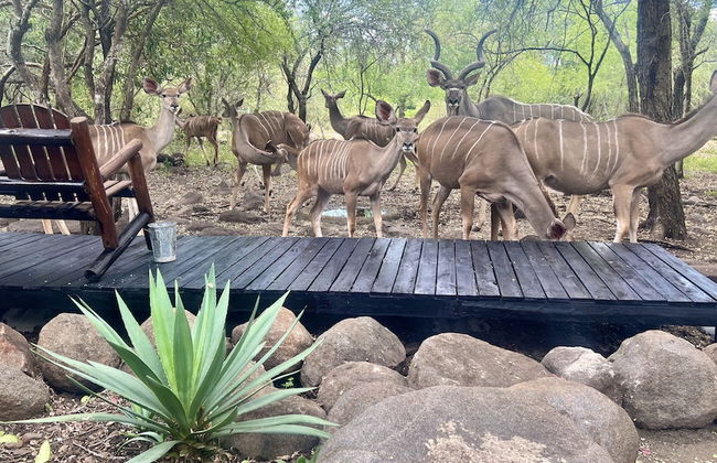 Kruger Kumba - Lahlekile Nathi - Foto 62