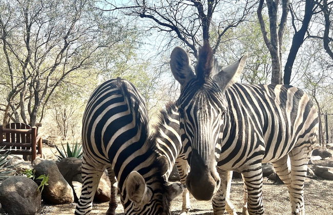 Kruger Kumba - Lahlekile Nathi - Foto 55