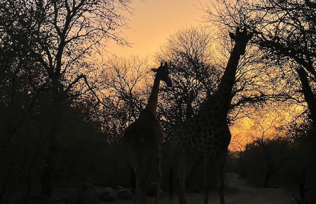 Kruger Kumba - Lahlekile Nathi - Foto 45