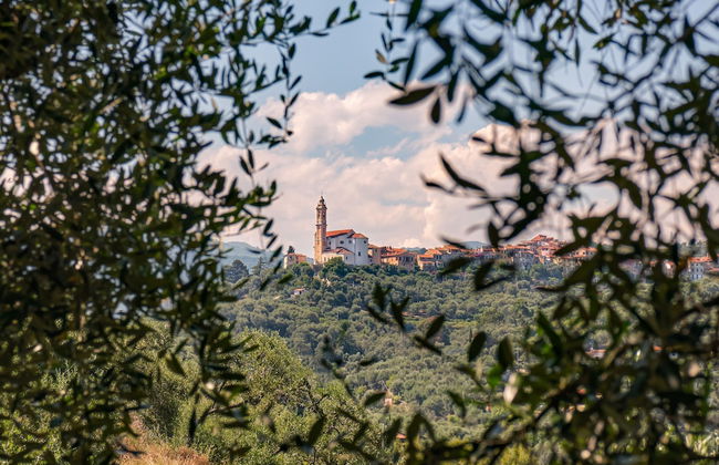 Mareazzurro Hill- Panorama View - Foto 19