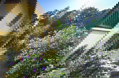 Photo 19 - Petit Jardin