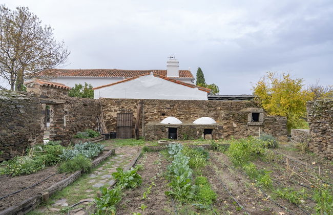 Finca El Azahar - Foto 30