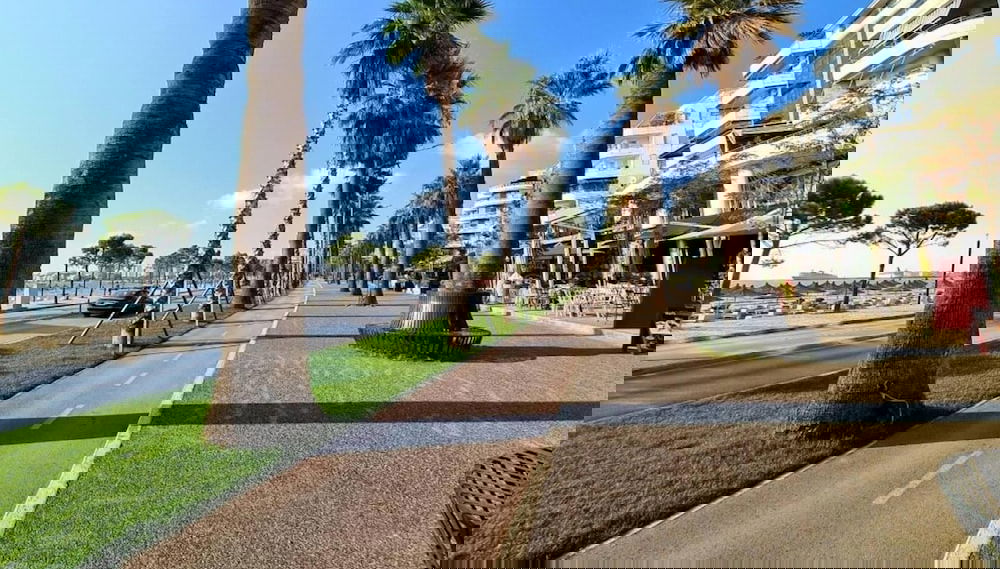 Imagem principal