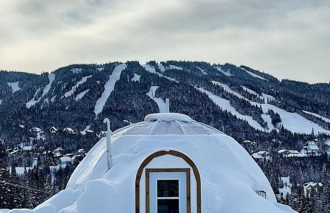 Imago Village - Photo 35