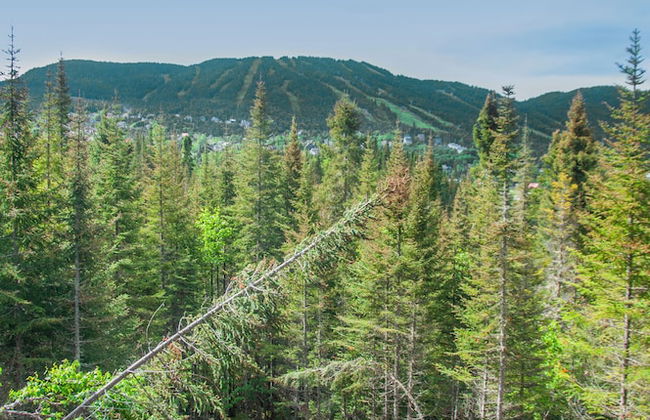 Imago Village - Photo 42