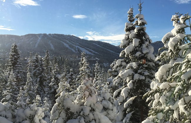 Imago Village - Photo 40