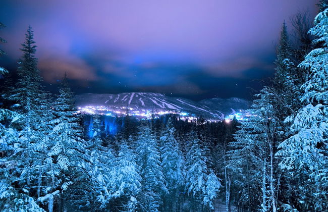 Imago Village - Photo 41