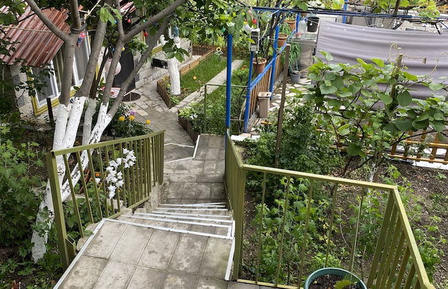Mimihouse - Photo 46