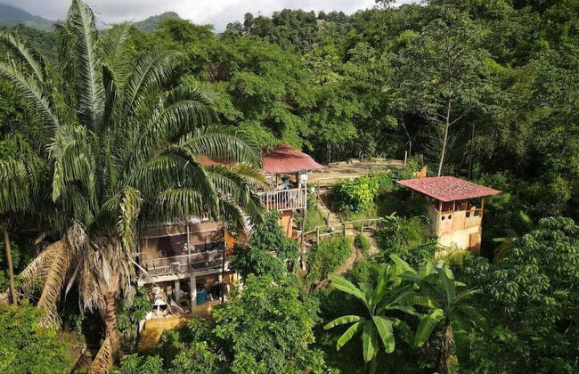 Sol de minca - Foto 1
