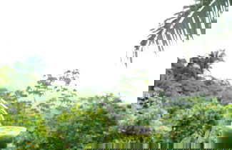 Foto 3 - Sol de minca