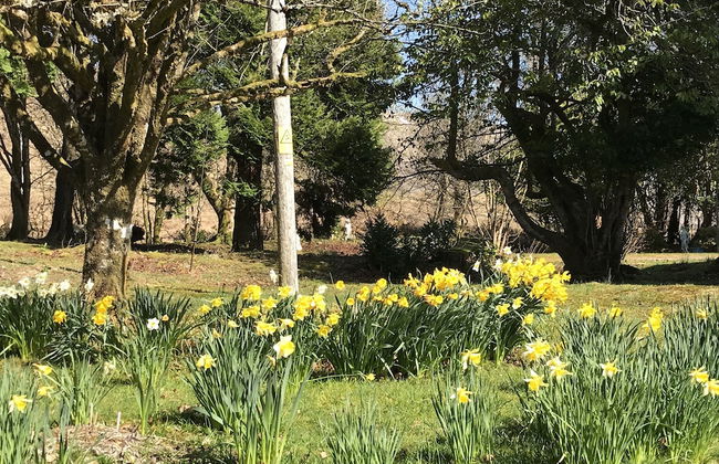 Kilchurn Suites - Foto 70