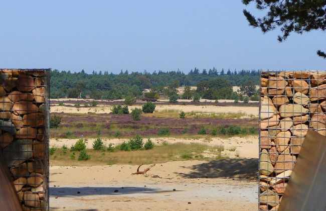 Chalet Near Drunense Dunes - Foto 39