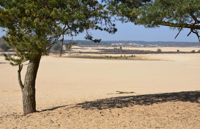 Chalet Near Loonse and Drunense Duinen - Foto 40
