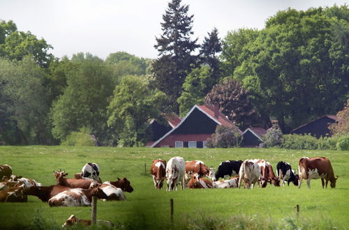 Photo 26 - Cozy Lodge in the Achterhoek