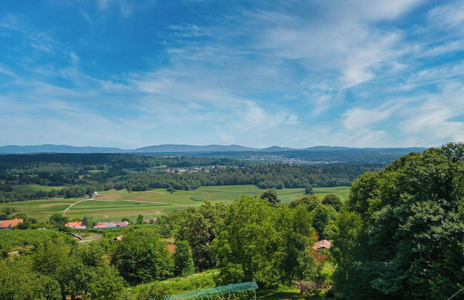 Vineyard Cottage Stepan - Foto 31