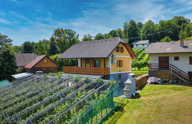 Vineyard Cottage Stepan - Foto 1