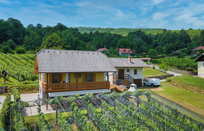 Vineyard Cottage Stepan - Foto 28