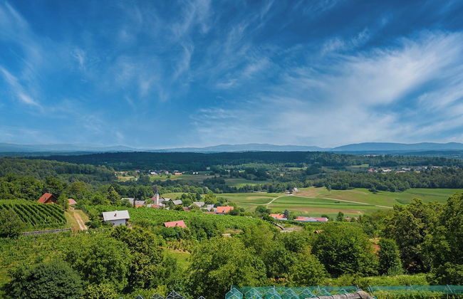 Vineyard Cottage Stepan - Foto 29