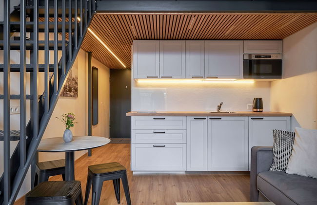 Queen Barbora Central Lofts - Foto 42
