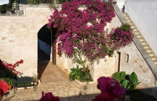 Foto 1 - Masseria Morrone