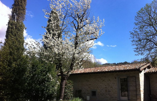 Corte San Ruffillo-Azienda Agrituristica - Foto 42