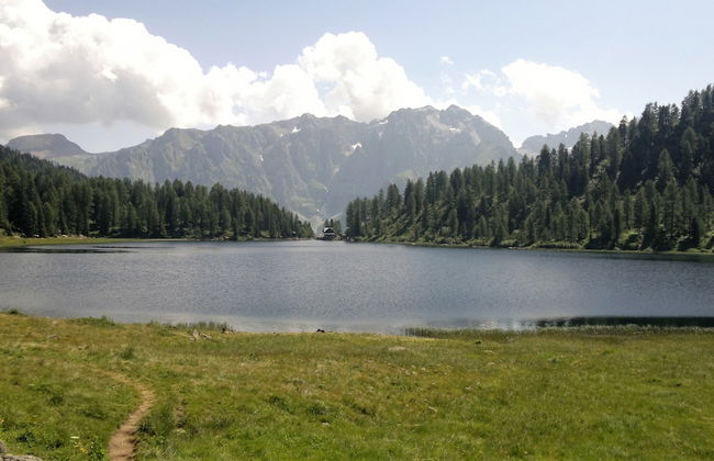 Tonalina - Foto 16