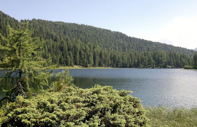 Tonalina - Foto 17