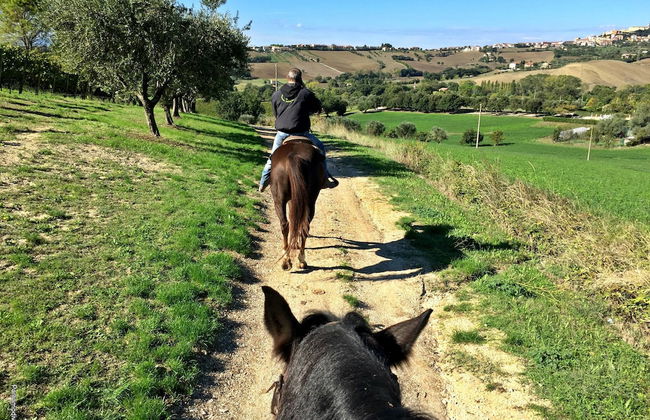 Agriturismo le Capannacce - Foto 45