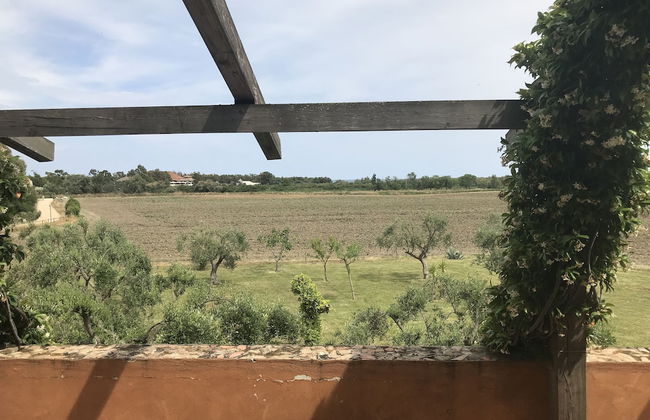 Masseria Scannaturco - Foto 33
