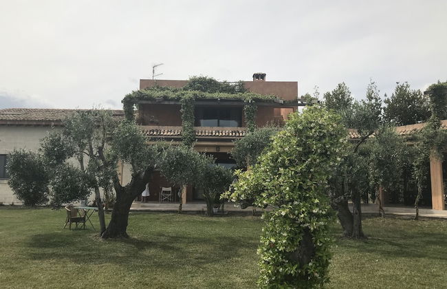 Masseria Scannaturco - Foto 19