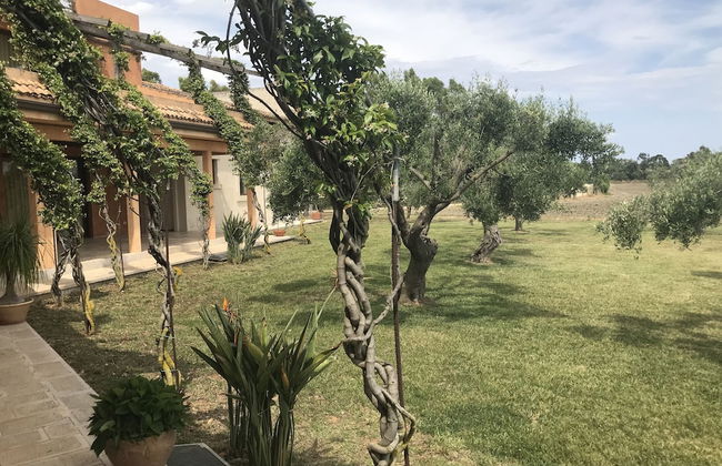Masseria Scannaturco - Foto 20