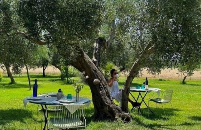 Masseria Scannaturco - Foto 30