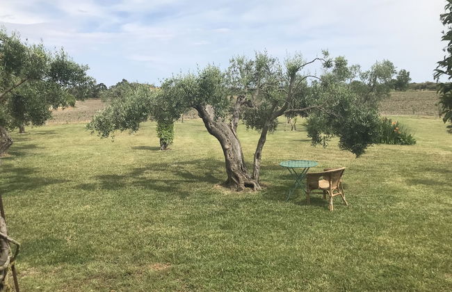 Masseria Scannaturco - Foto 18