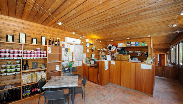 Rezeption