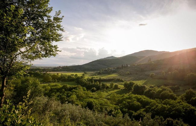 Farmhouse in Tuscany With Panoramic Pool - Foto 38