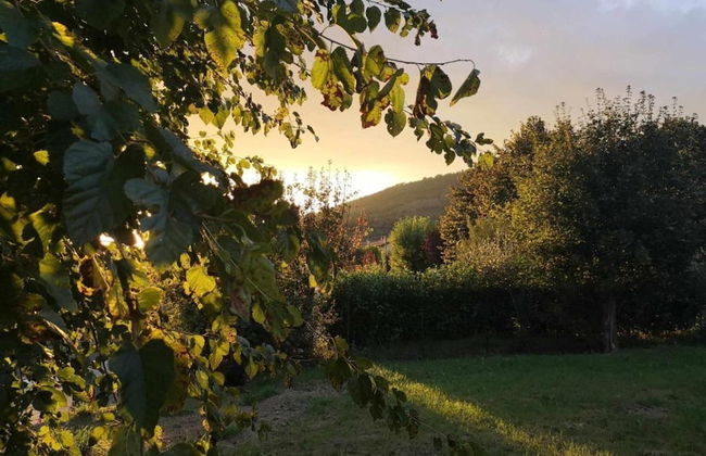 Farmhouse in Tuscany With Panoramic Pool - Foto 39