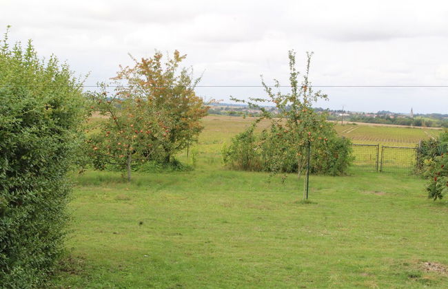 Maison de campagne Attilly - Foto 18