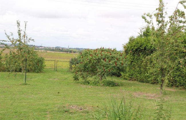 Maison de campagne Attilly - Foto 21