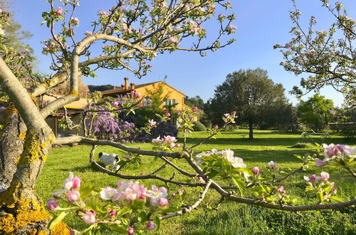 Photo 14 - La Casa Toscana - Apt Castello 7 km by the sea