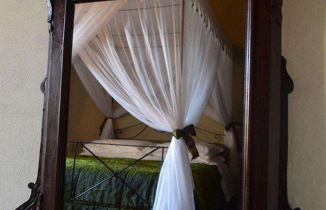 Il Vicario - Foto 6