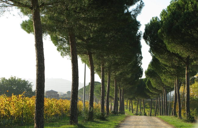 Agriturismo Poggio alle Vigne - Photo 20