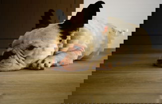 Photo 50 - Quinta do Mocho Turismo Rural