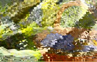 Photo 48 - Quinta do Mocho Turismo Rural