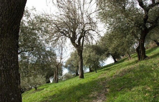 Agriturismo Le Francesche - Foto 11