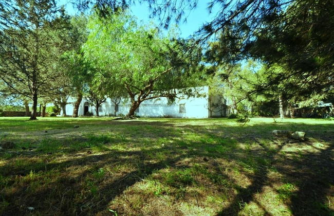Masseria Frassaniti - Photo 34