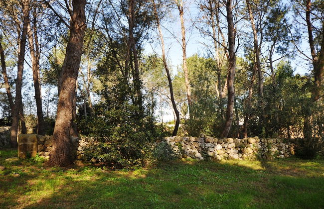 Masseria Frassaniti - Photo 32
